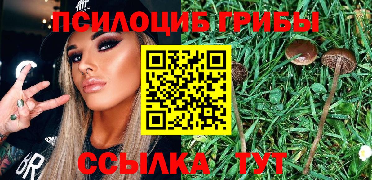 Галлюциногенные грибы прущие грибы Орёл